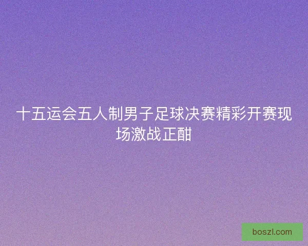 十五运会五人制男子足球决赛精彩开赛现场激战正酣