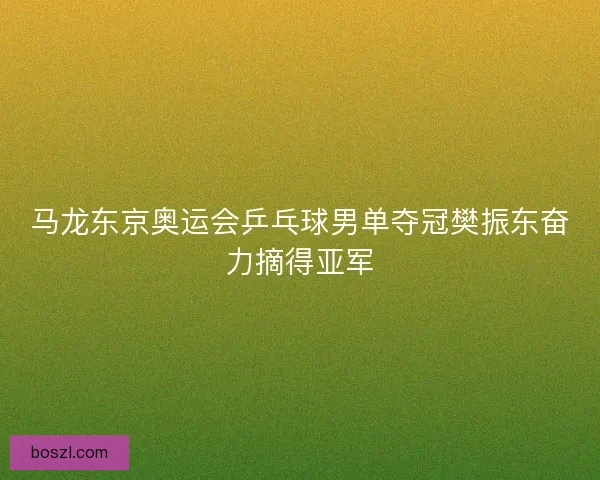 马龙东京奥运会乒乓球男单夺冠樊振东奋力摘得亚军